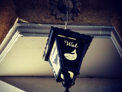 照片:  Spatz Und Wal